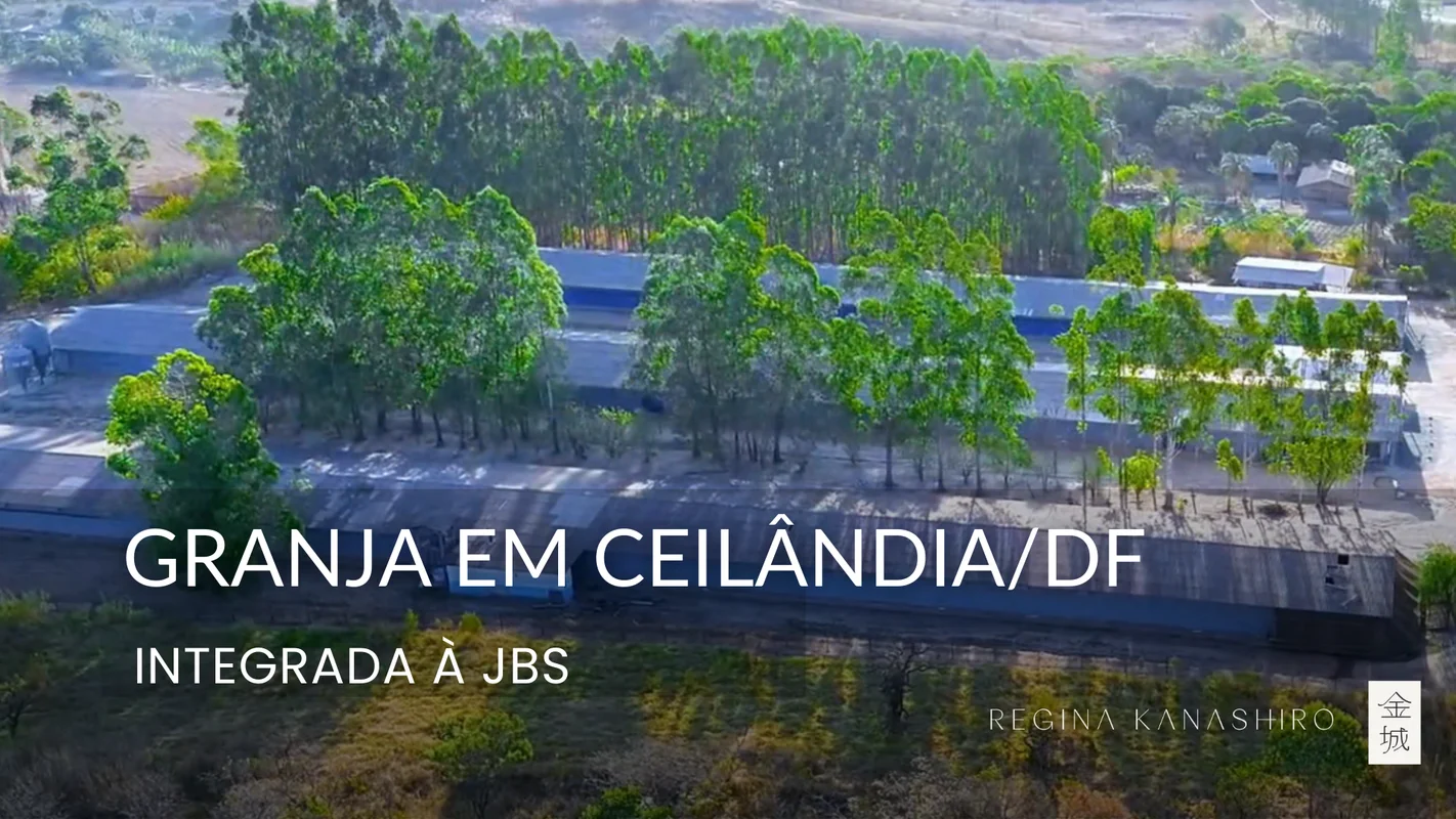 Granja de frangos de corte em Ceilândia/DF, a aproximadamente 250 m da BR-070, c...