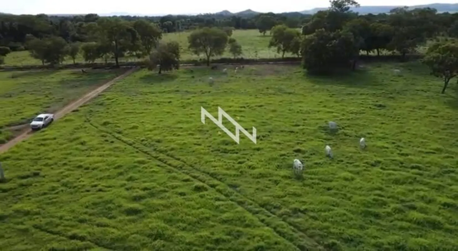 Negócio de oportunidade. Área rural com aproximadamente 179 hectares, localizada...