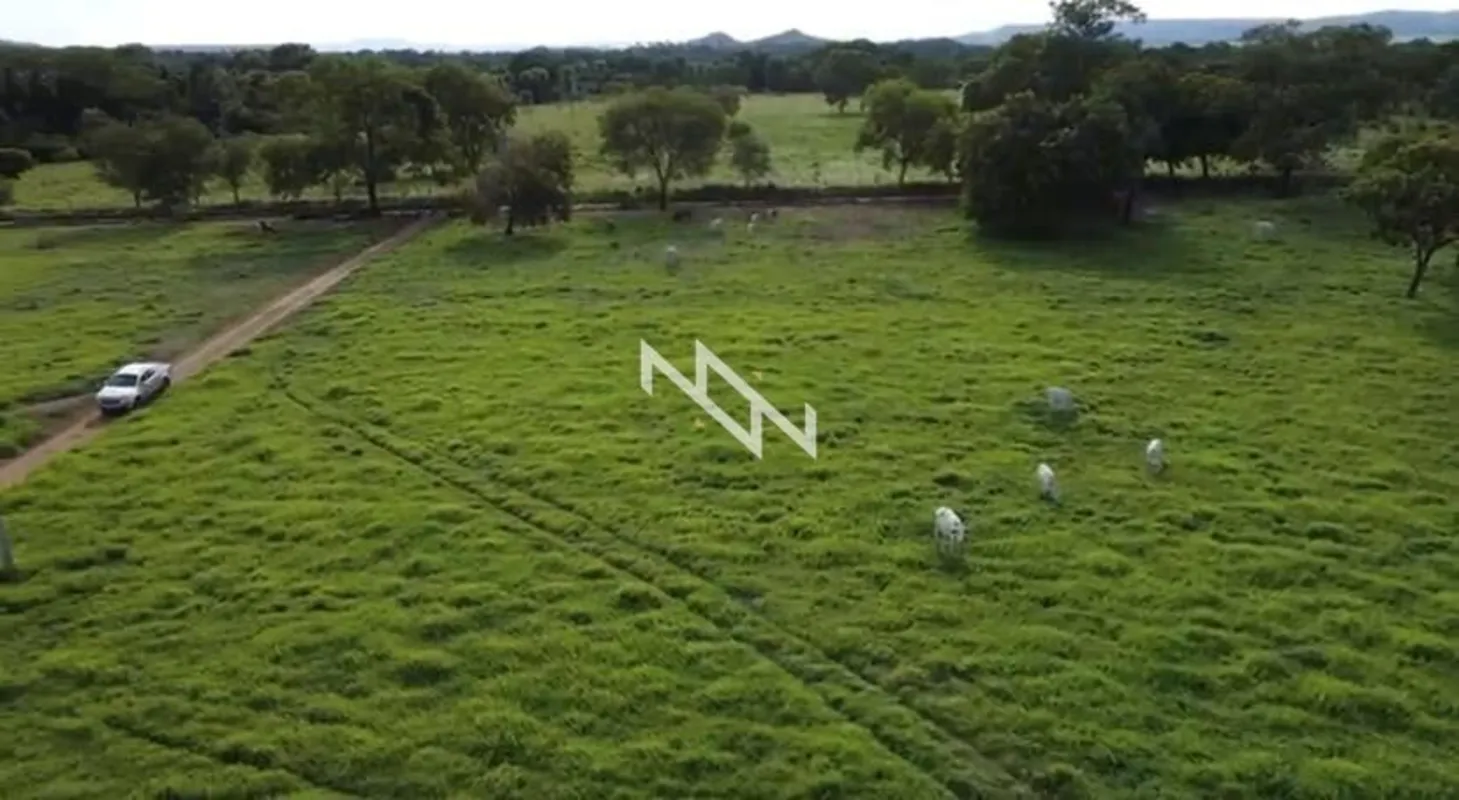 Negócio de oportunidade. Área rural com aproximadamente 179 hectares, localizada...