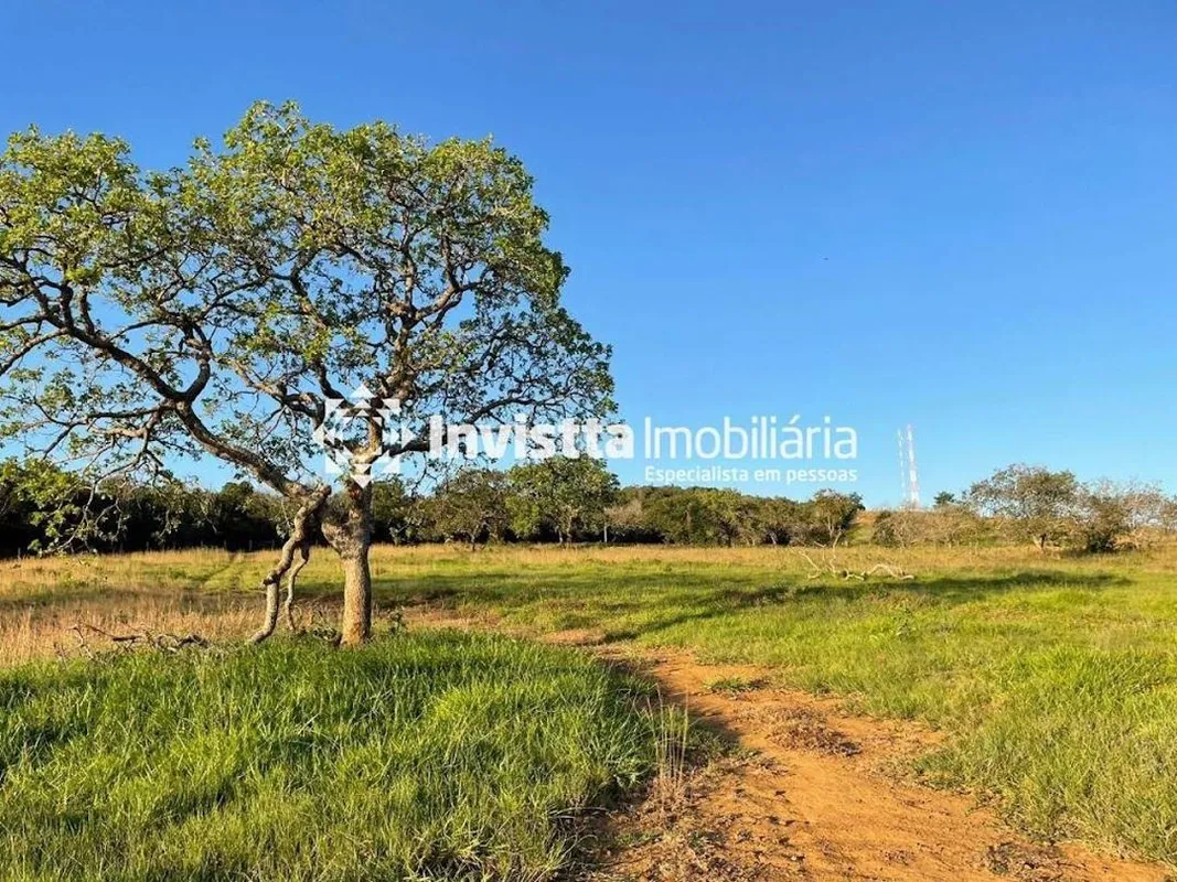 Fazenda à venda, 329 Hectares (68alqueires) em Miranorte/TOÁrea total: 329 Hecta...