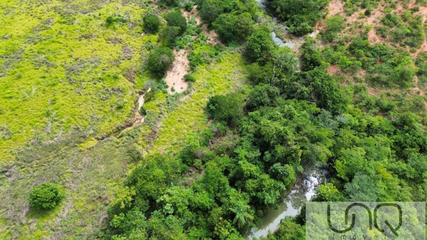 Fazenda à Venda - 711 hectares - Buritis/MG - Margem do AsfaltoExcelente fazenda...