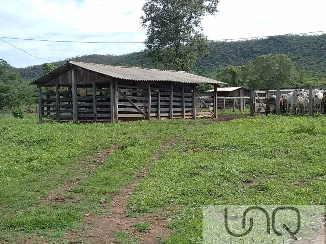 Vende-se Área rural na região de Unaí-MG.105 hectares.43Km de Unaí-MG.Terra de C...