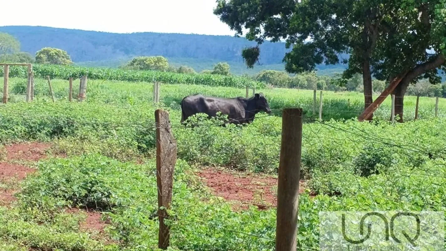 FAZENDA A VENDA NA REGIÃO DE UNAÍ-MG.(ÁREA DE OPORTUNIDADE).ÁREA TOTAL DE 14,5 A...