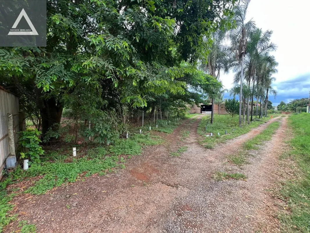 Chacara a 300 metros do asfalto, na Ponte Alta Norte, próximo ao Recanto das Ema...