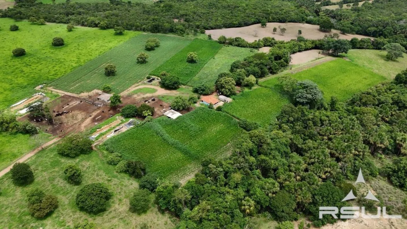 Se você está procurando um sítio para desenvolver uma atividade agropecuária e u...