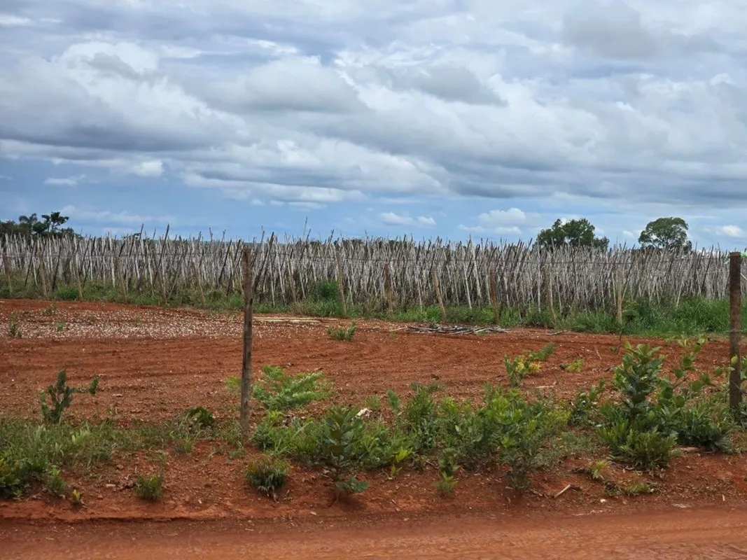 Imobiliária Brasília vende excelente área com 14.500 m2 na regiao da Nova Petrop...
