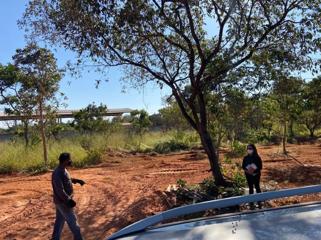 Foto do Imóvel