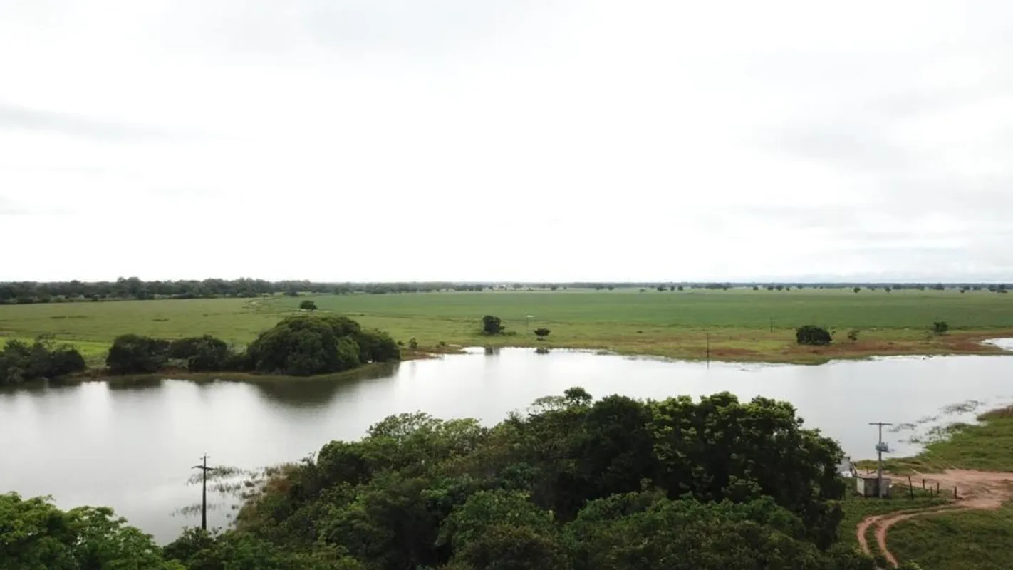 ?? FAZENDA À VENDA – BritâniaExcelente oportunidade para agropecuária e agricult...