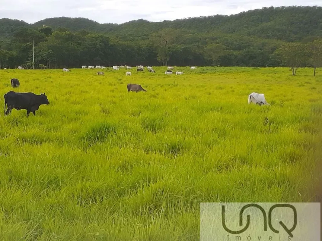 Fazenda à venda - Região de Unaí / MGLocalizaçãoEstado de Minas GeraisRegião de ...