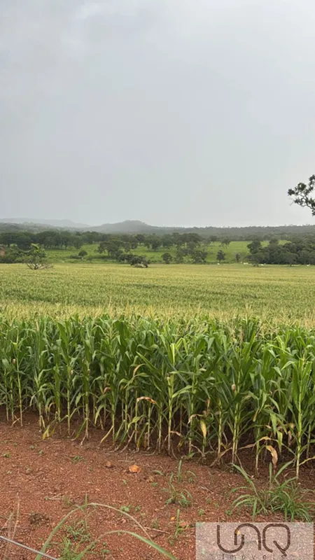 OPORTUNIDADE - FAZENDA EM UNAÍ / PARACATULocalizaçãoRegião de Unaí / Paracatu - ...