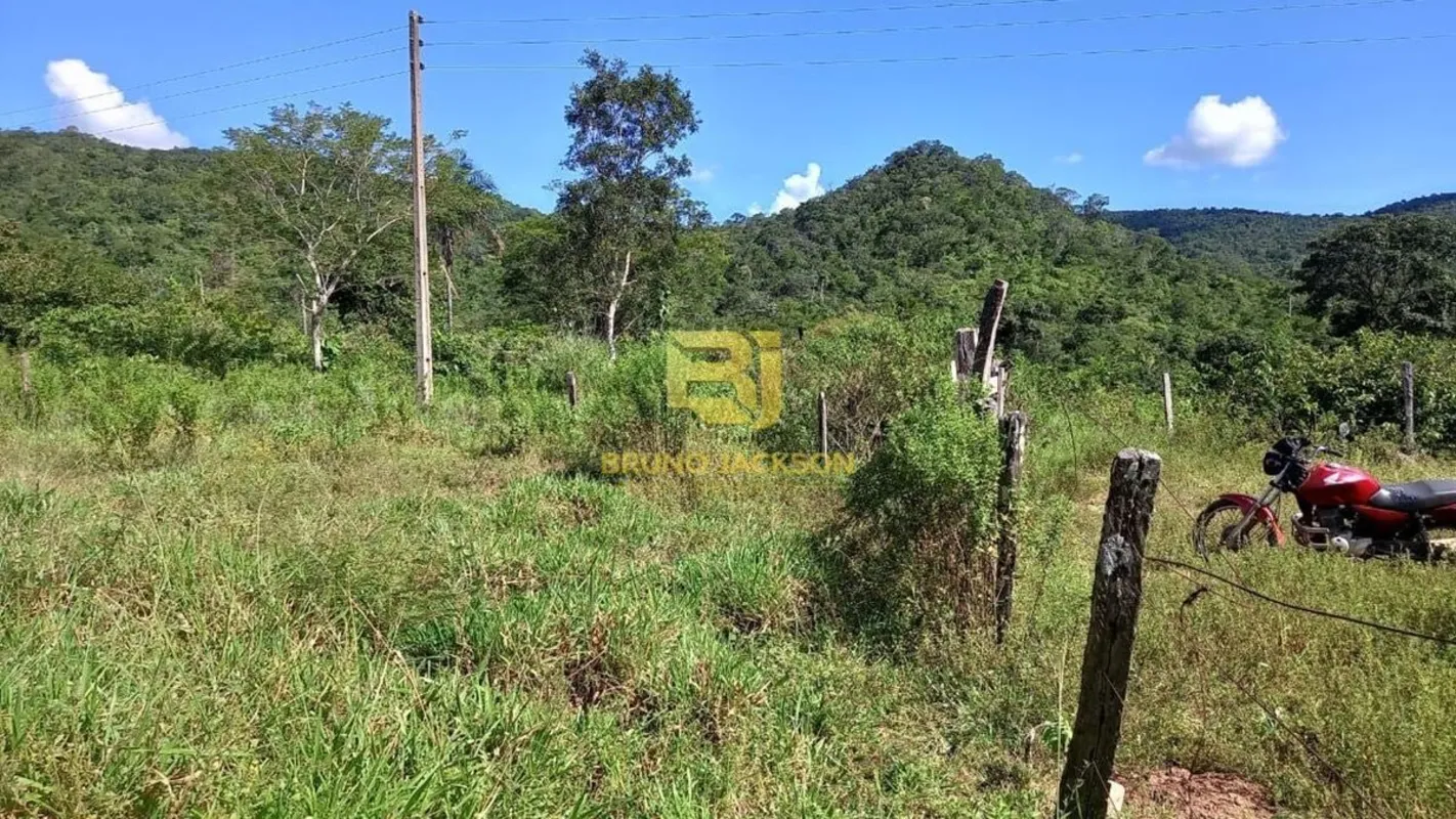 Excelente fazenda com 15 alqueires, ideal para plantio, dispondo de água e boas ...