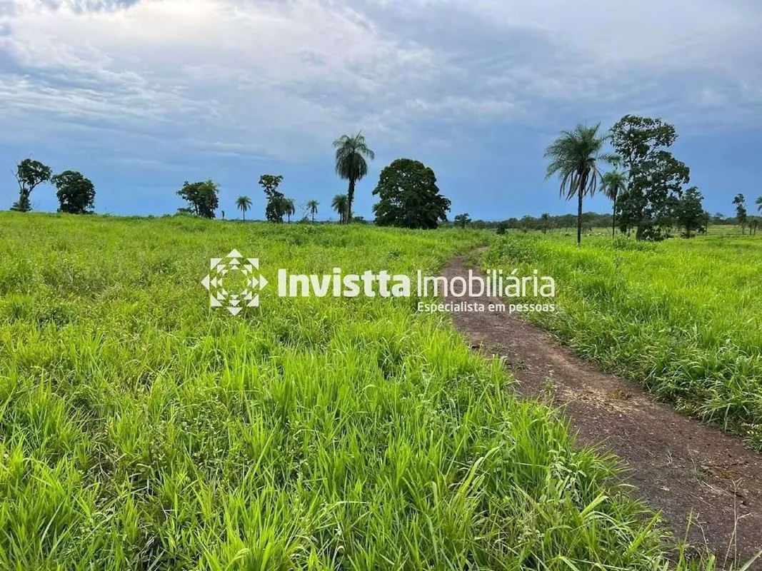Fazenda na BR 153 74 alqueires Miranorte 14 km Município Miranorte-TOLogistica: ...