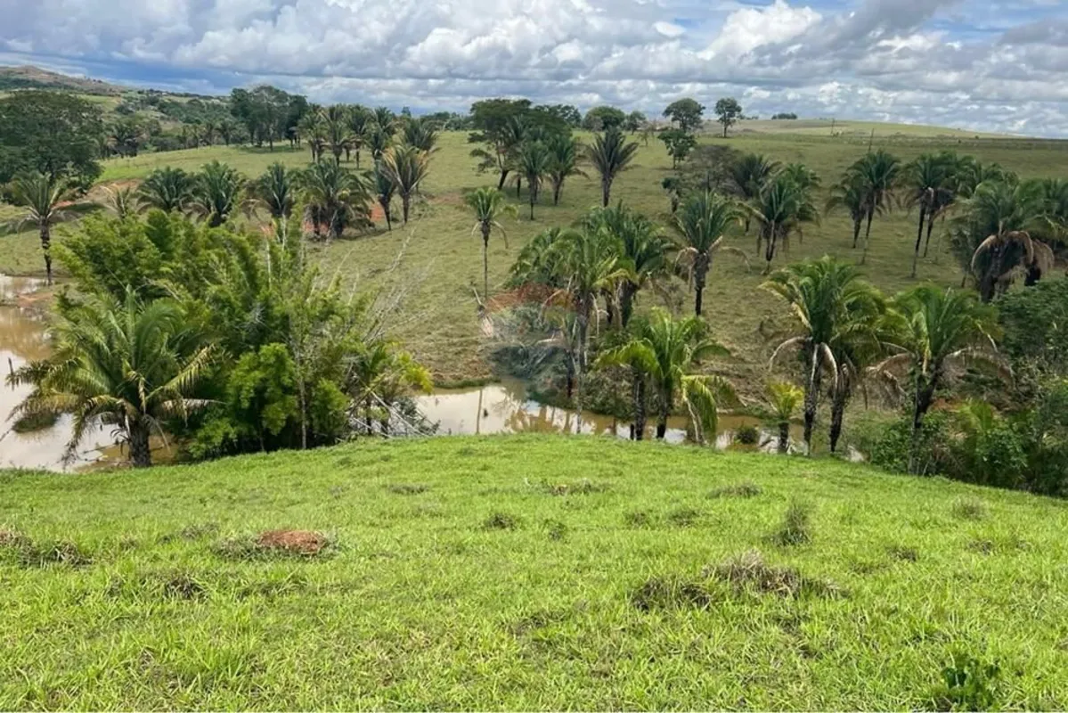 Descubra a oportunidade única de possuir uma Fazenda espetacular Na Planta em Co...