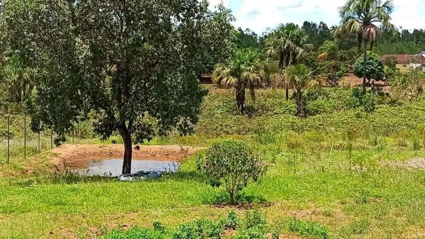 Foto do Imóvel