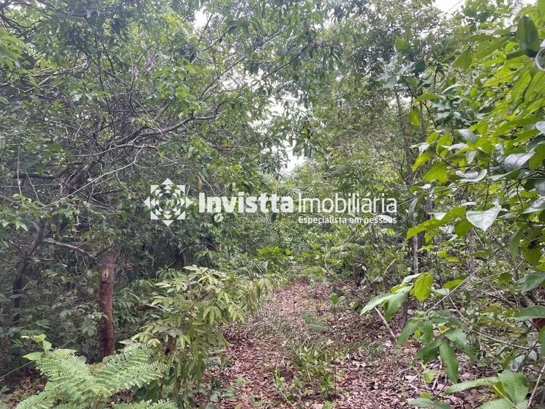 FAZENDA EM ESTAGIO DE ABERTURA. SERA ENTREGA 40 ALQUEIRES ABERTOSÁrea total: 58 ...