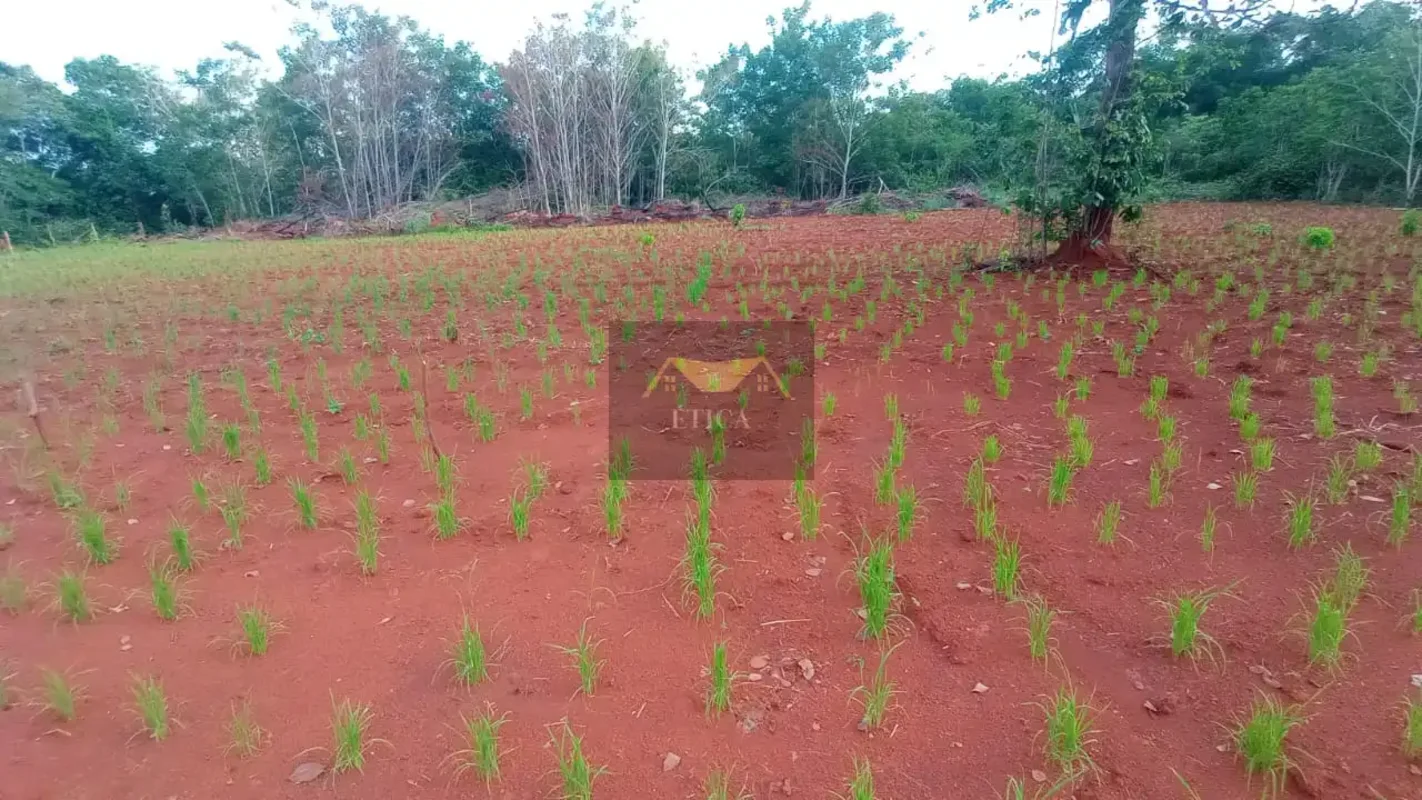Vendo mini fazendo em Marianópolis, Barreirinha Tocantíns.T erra plana e adequad...