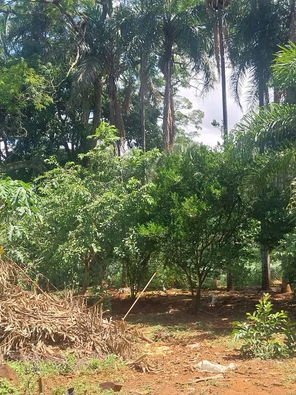 ?? CHÁCARA À VENDA – 4.000m² | DENTRO DA CIDADE | LOCALIZAÇÃO PRIVILEGIADA ??Se ...
