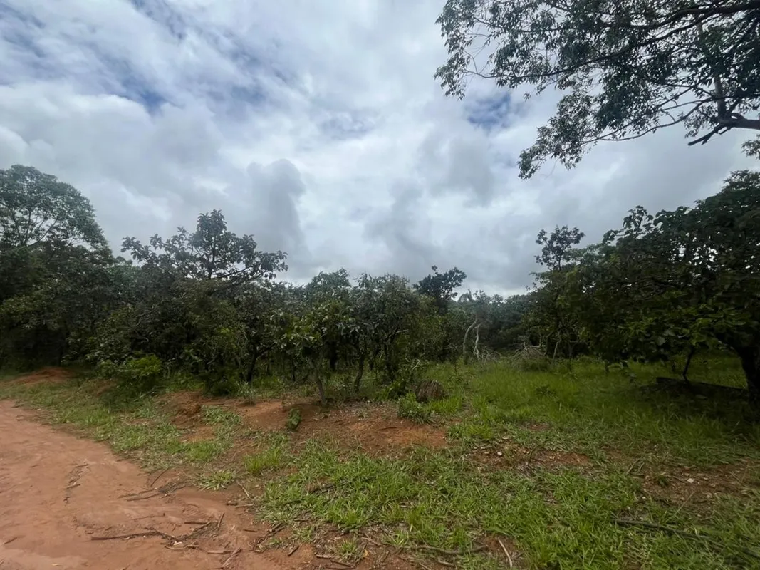 Terreno á venda - BR- 060, Km 21 | Alexânia - GO Área ampla com com 10.000 m² (1...