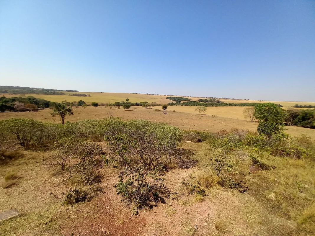 VENDE-SE EXCELENTE PROPRIEDADE RURALPropriedade rural (denominada Retiro Canto d...