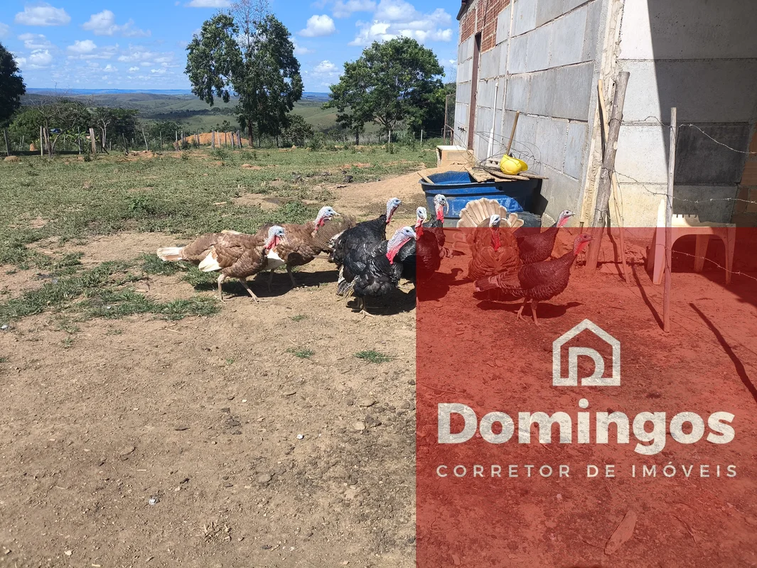 Excelente localização:Chácara 12. 0000,00 M2.Ao lado da BR.Do lado da estrada do...