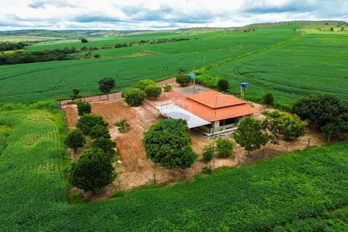 Fazenda à venda no município de Flores de Goiás GO, com área total de 1.027 hect...