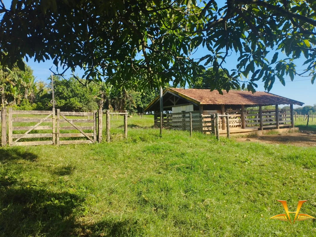 Chácaras Brito.Excelente sítio com 9 hectares.Todo formado com cinco piquetes, U...