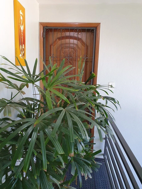 Apartamento com reforma, 1 quarto, sala, cozinha, sacada, 1 banheiro, área de se...