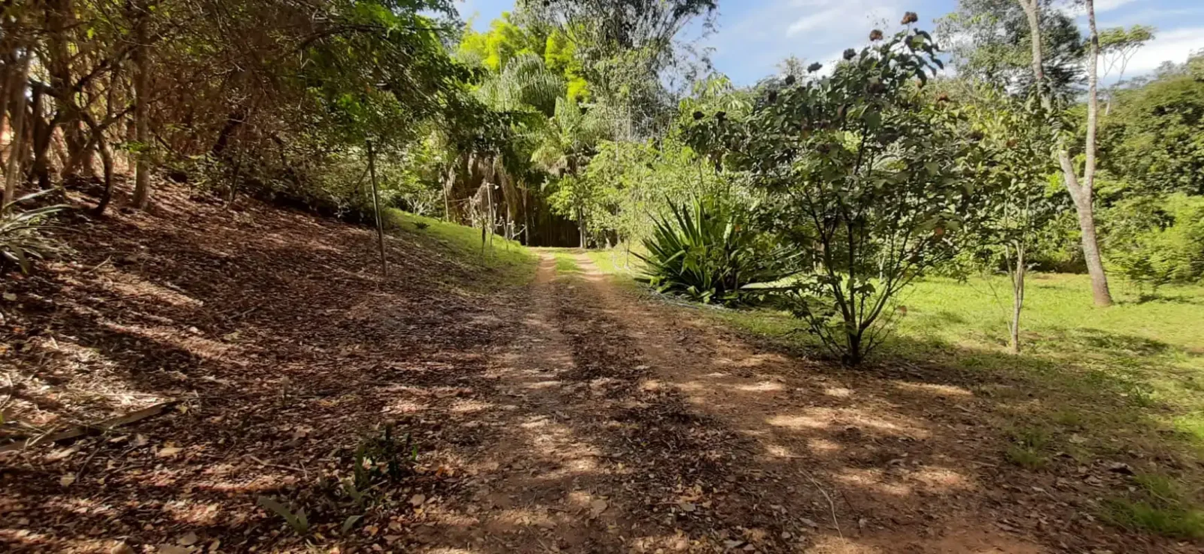 Endereço - BR 251 km 55 sítiio Taquarí são sebastião df cep 71 699 899 Endereço:...