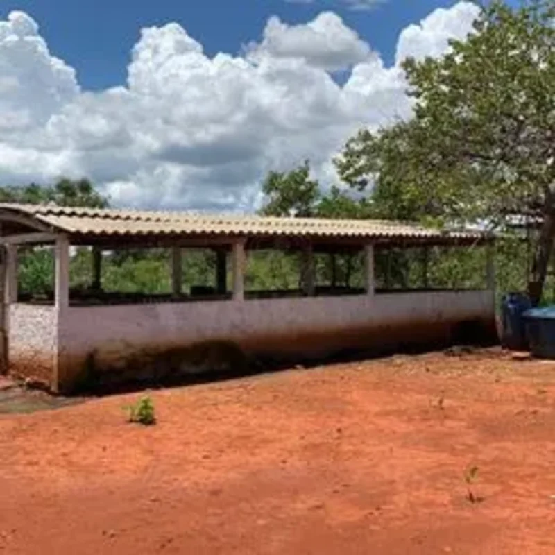 Vendo chácara em Buritis-MG Medindo 17 hectares * Sendo 9 já formado no capim br...