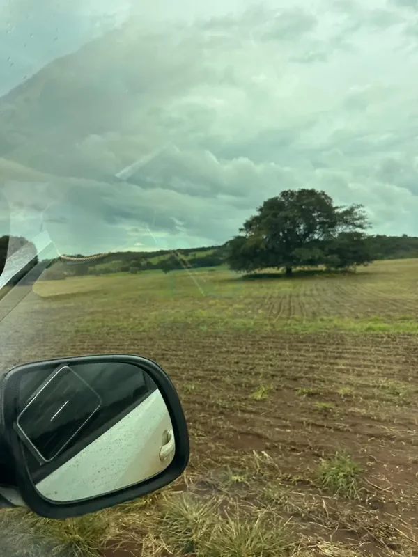  FAZENDA À VENDA – REGIÃO DE GOIÂNIAExcelente oportunidade de investimento no mu...