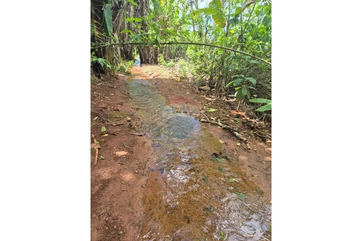 Fazenda para incorporação Imobiliária, perto do Jardim ABC. Oportunidade única p...