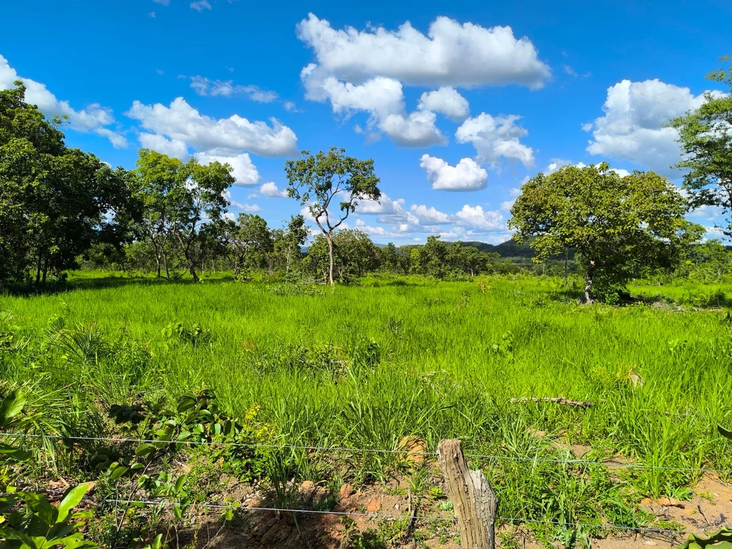 Descubra uma oportunidade única de adquirir uma fazenda charmosa e rodeada por u...