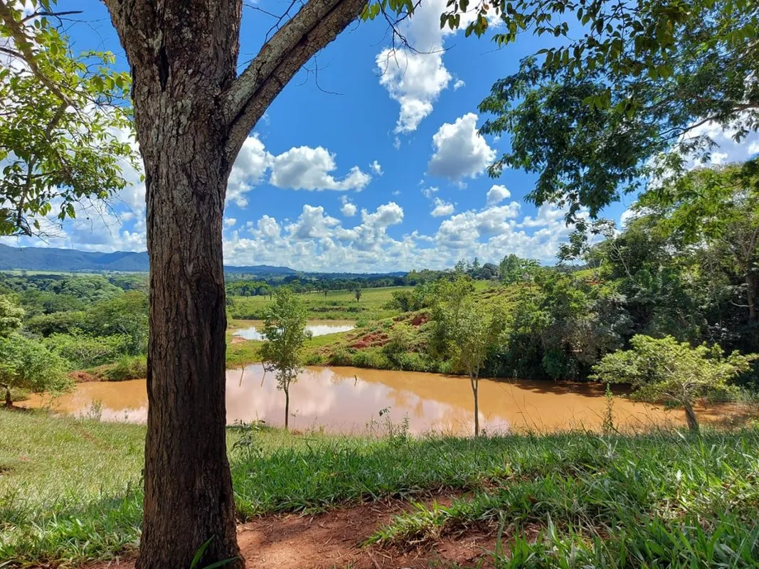 OPORTUNIDADE ÚNICA! ÁREA RURAL À VENDA Vende-se uma excelente gleba de terras co...