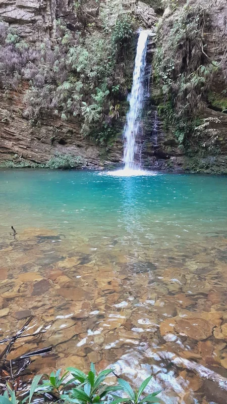 VENDO FAZENDA DE 371Ha em Água Fria GO, 150Ha escriturada, o restante 02 posses ...
