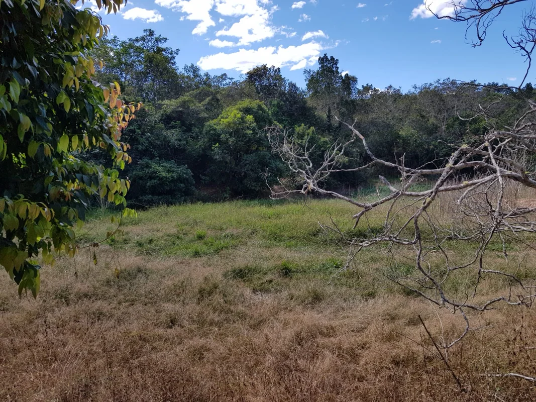 PERMUTA POR AP ELEVADOR OU VENDO FAZENDA (TERRA NUA) – PLANALTINA/GO (61)99982.2...