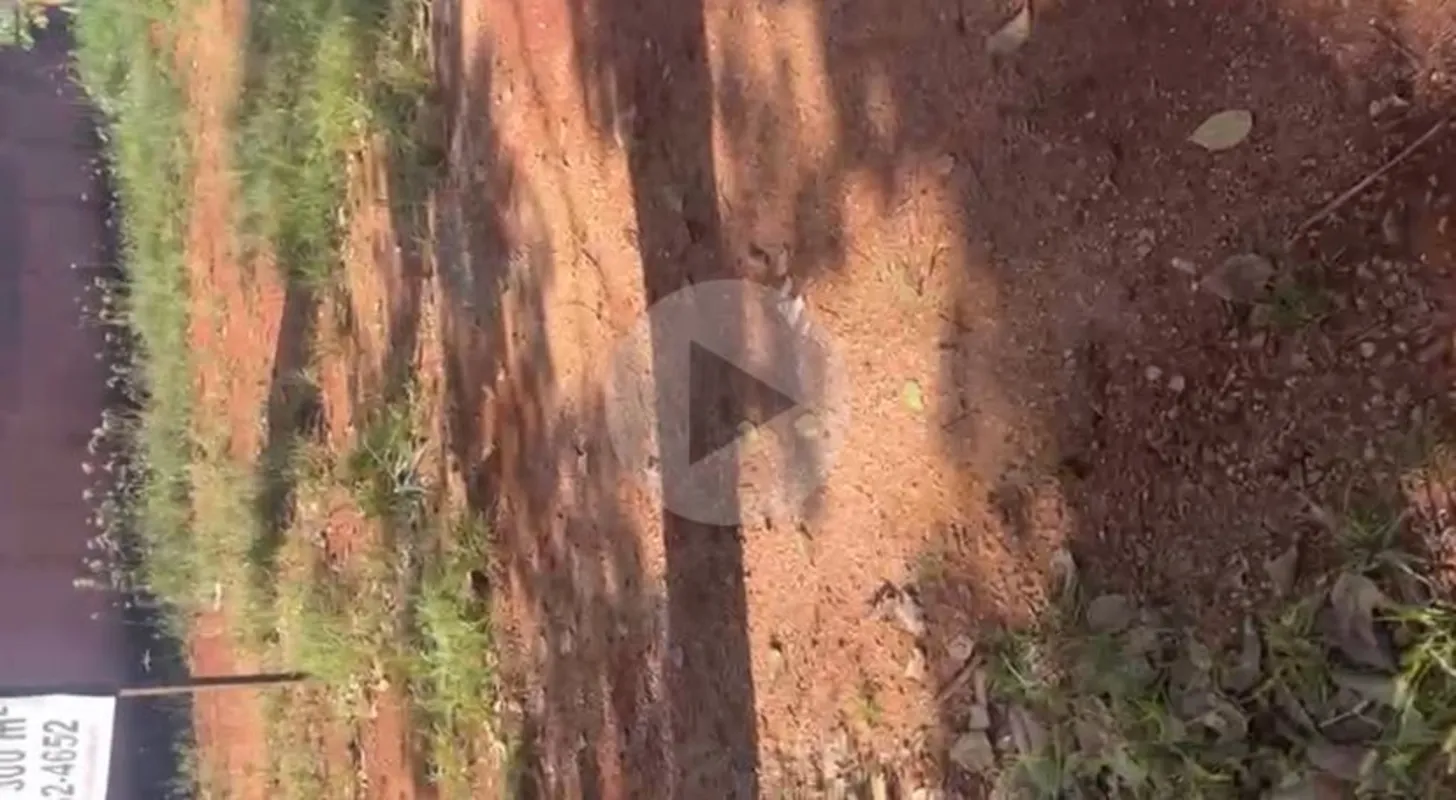 São dois lotes sendo 300m² cada um ( os dois juntos somam 600m² )R$ 280 mil cada...