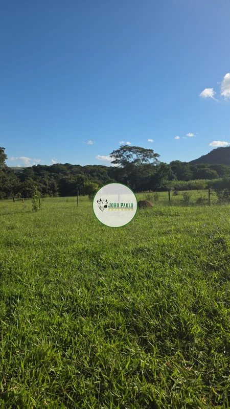 ** Chácara a venda em Ponte Alta-DF - 5 HECTARES - Casa - Da para criar gado 20 ...