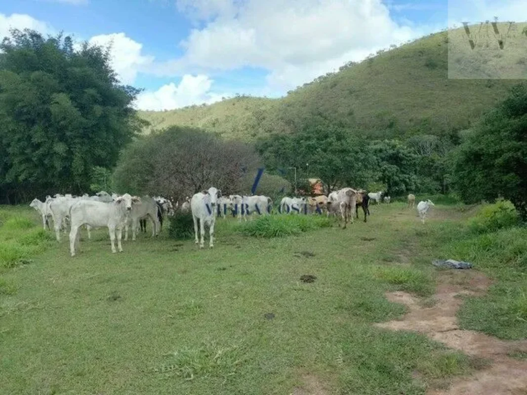 Descubra uma fazenda única à venda em Sobradinho dos Melos, Paranoá, DF, com 40 ...