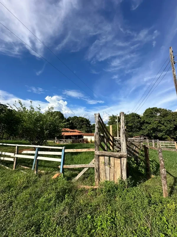 Excelente oportunidade para investimento rural!Se você procura uma propriedade p...