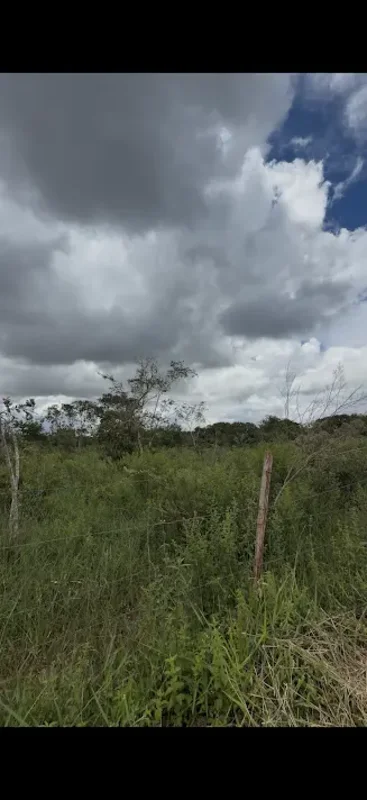TERRENO PLANO DE 2hectares OPORTUNIDADE RARA NO TORORÓ BARREIRO – DF!Invista em ...