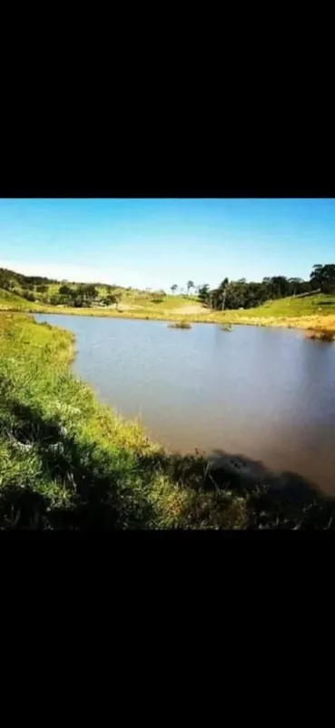 Fazenda a 34 km de Ipameri e Caldas Novas185 hectares. 38 alqueires e 19 litros ...