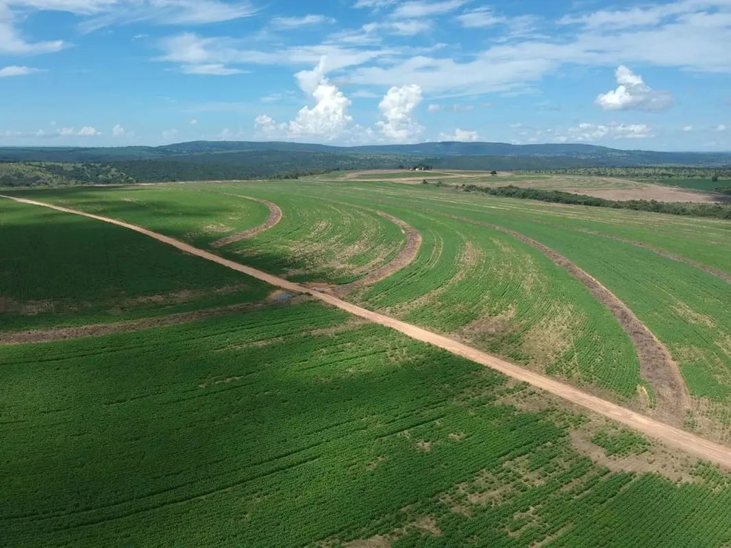 vende-se 153 alqueires em Corumbaiba Goiás já plantando 400 hec de soja+80 hec a...