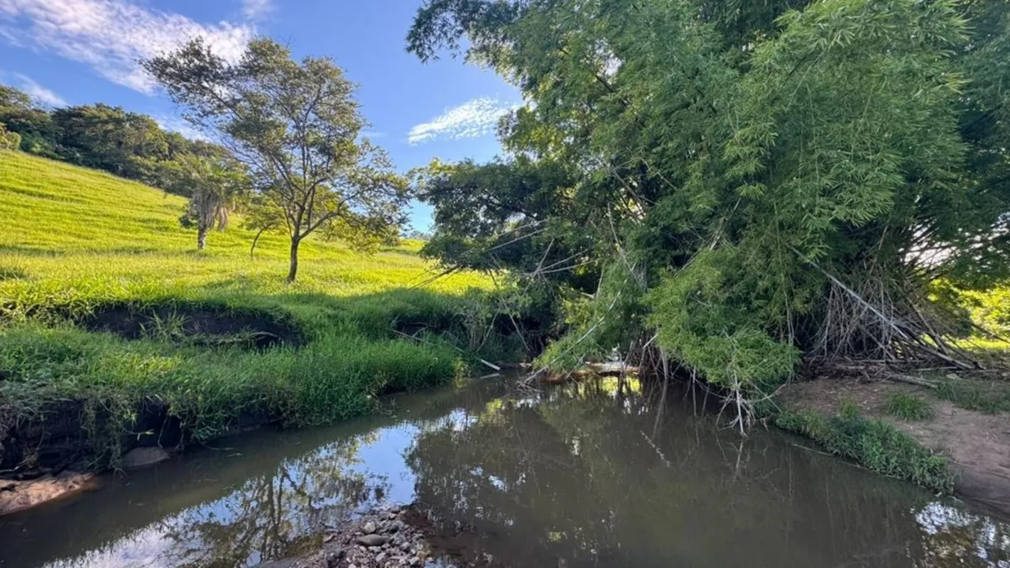 FAZENDA À VENDA - PONTALINA/GOExcelente oportunidade para pecuaristas!Localizaçã...