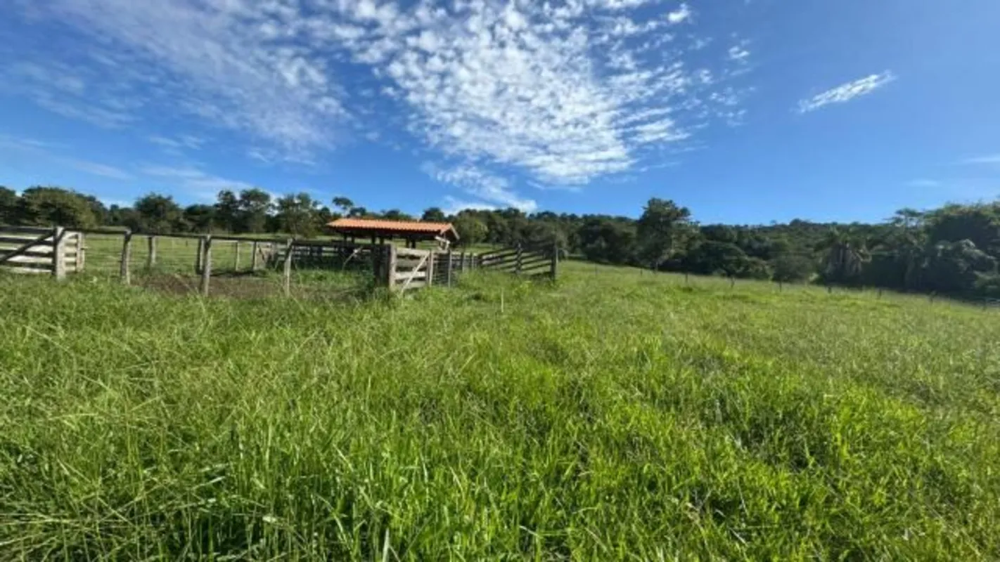 Pontalina GO. 21,5 Alqueires ou 104,06 hectares.cultura para pecuaria, ondulada,...