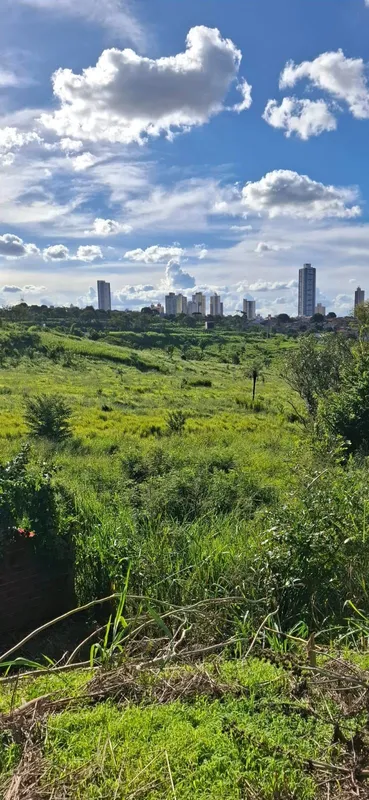 Você não encontra mais áreas assim dentro de Goiânia.Chácara, terreno/ lote com ...