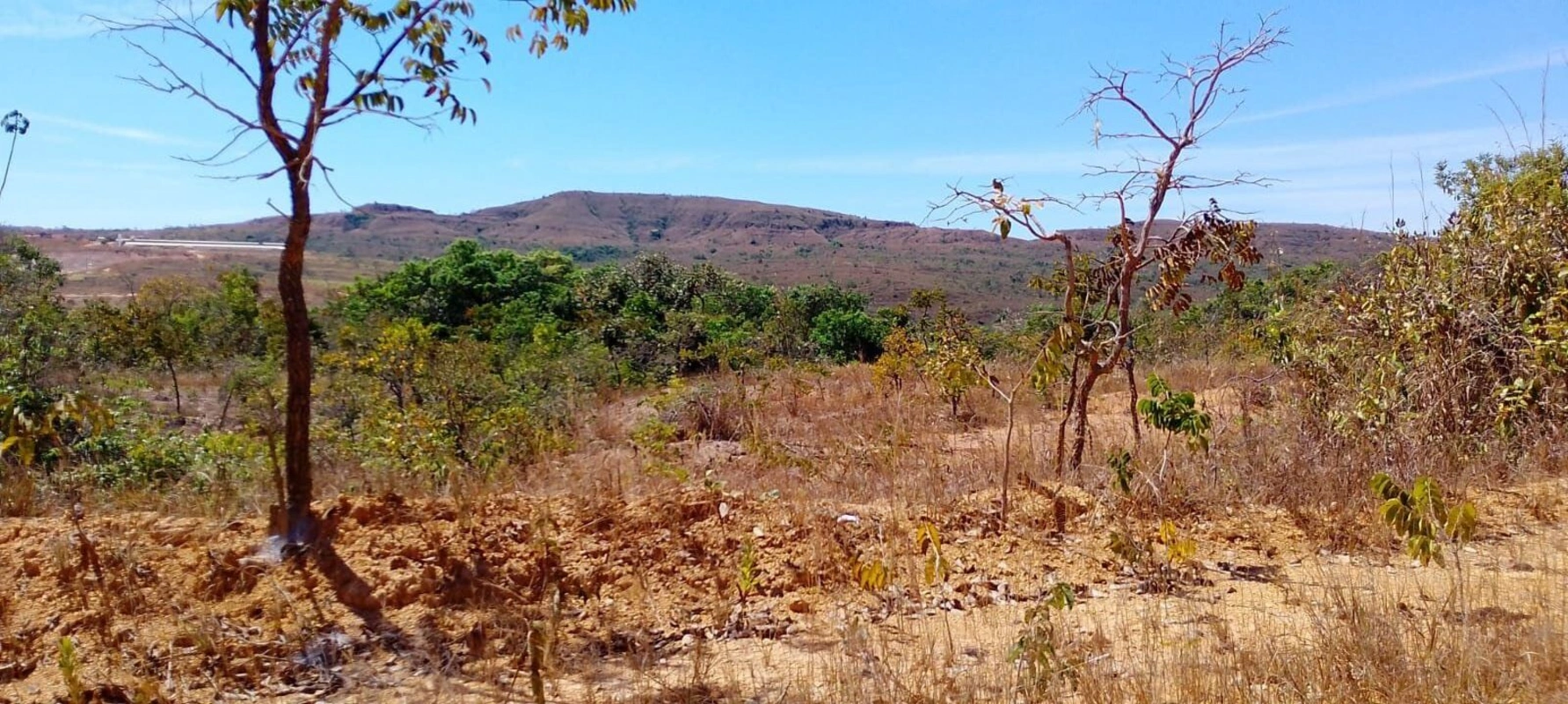 VENDO CHÁCARA - CABECEIRAS/GO- Localização: GO-346 (Cabeceiras/GO), KM 10, regiã...