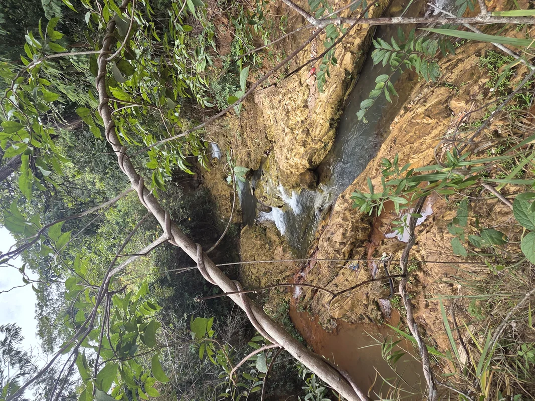 VENDO CHÁCARAS DE 1.000 METROS EM VALPARAISO DE GOIÁS.- TERRENO PLANO- CÓRREGO A...