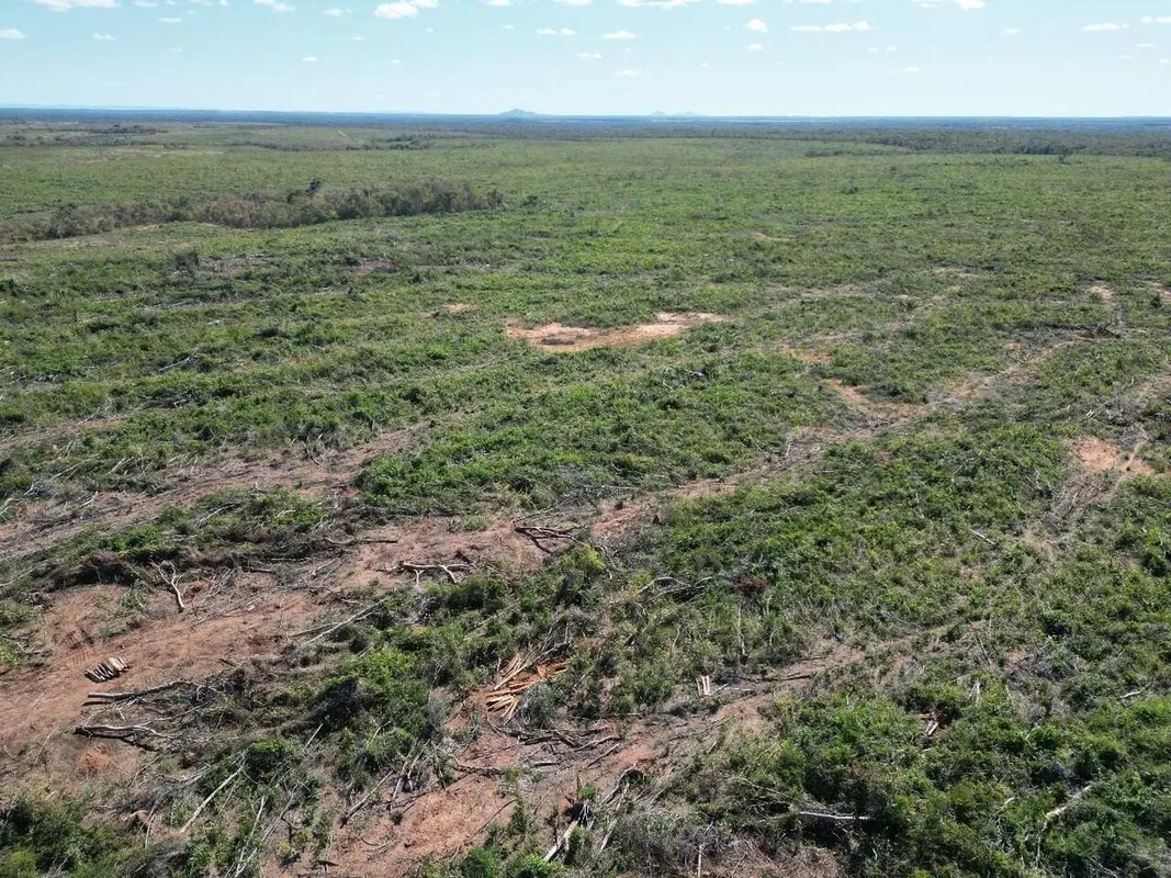Fazenda das Vertentes- Tocantins Área total com 454 alqueires com 202 alqueires ...