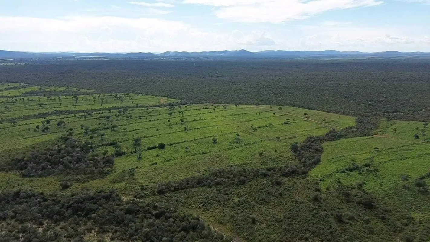 Fazenda Paranã Tocantins Fazenda espetacular a 8 km da BR-242 com área total de ...