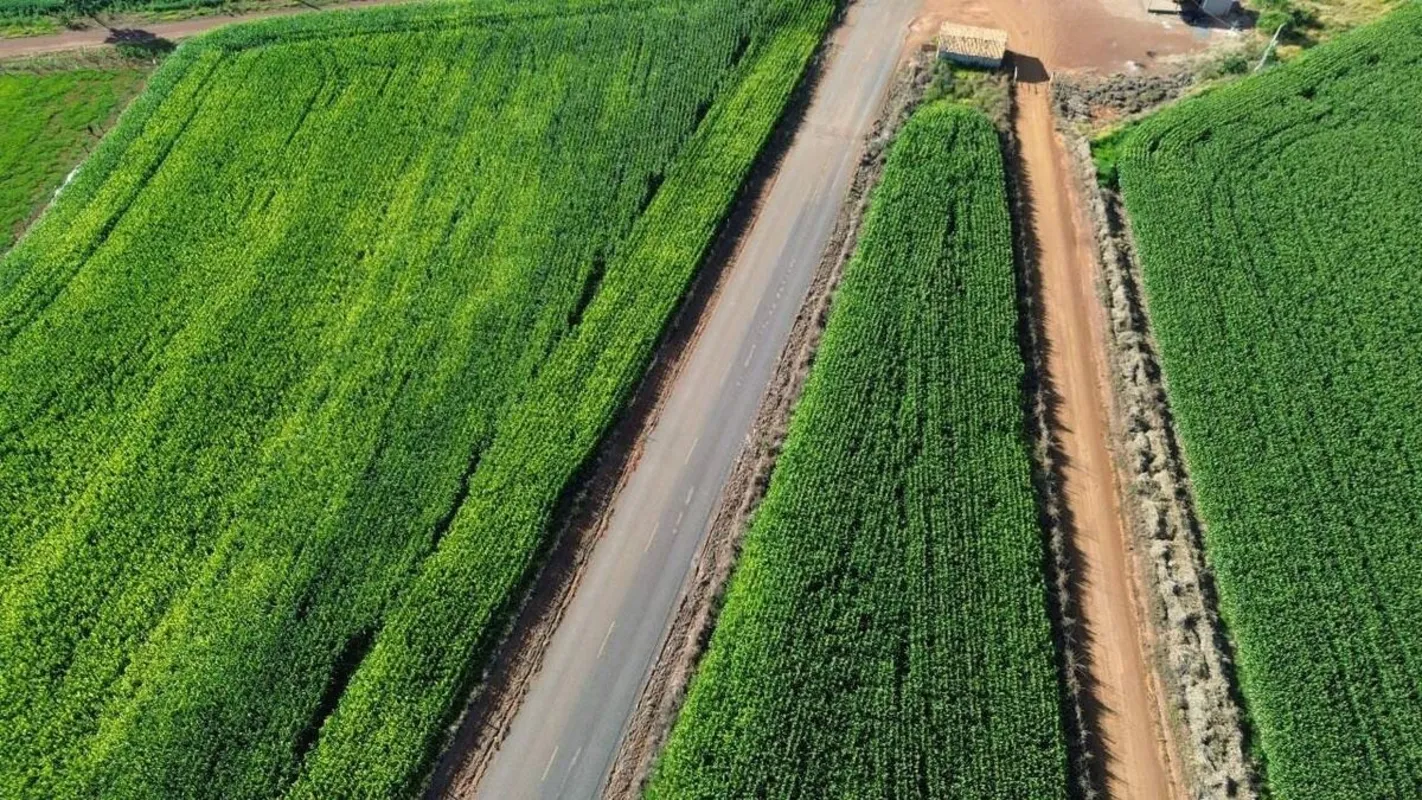  Sítio à venda na região de Luziânia/GOExcelente propriedade rural com 12 hectar...